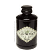  Top Gin Brand Logo: Hendrick's Gin