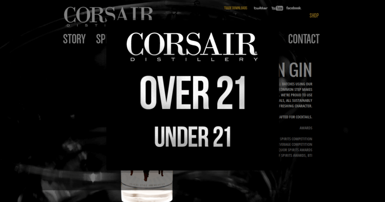 Home page of #6 Leading Gin Brand: Corsair Artisan Gin