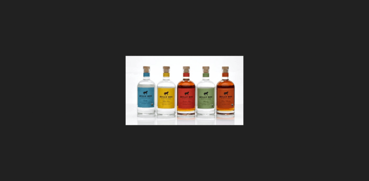Bottle page of #8 Leading Dark Rum Label: Bully Boy Distillers Boston Rum